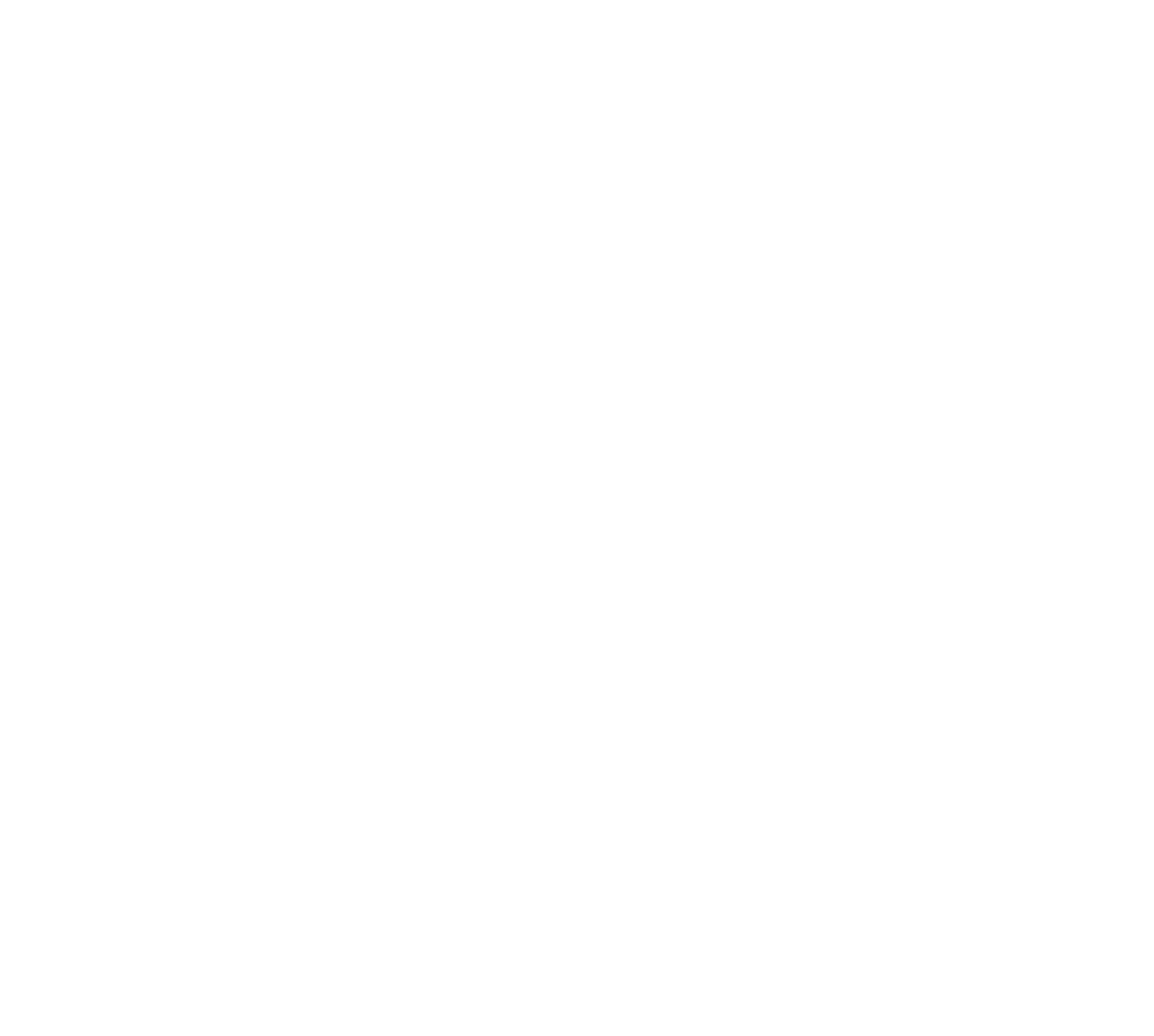 chiye fan